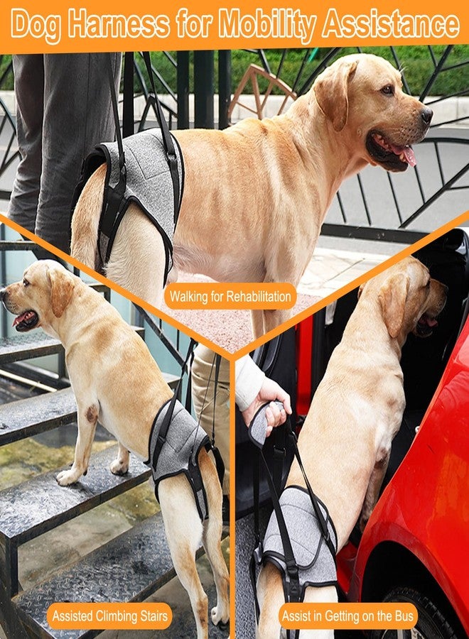 VINGVO Dog Sling for for Small Dogs Hind Leg Support, Dog Lift Harness for Back Legs Rehabilitation, Hip Brace Support Closure Adjustable Strap Large Elderly Dogs Lift Harness (S) - Image 5